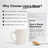 Ordinary Lionโs Mane