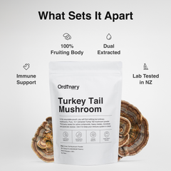 Ordinary Turkey Tail