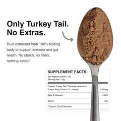 Ordinary Turkey Tail