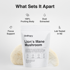 Ordinary Lion’s Mane