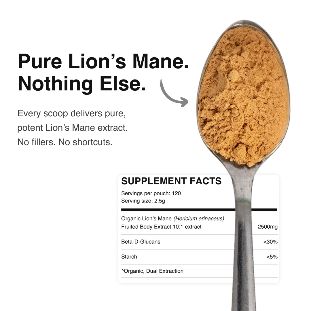Ordinary Lion’s Mane